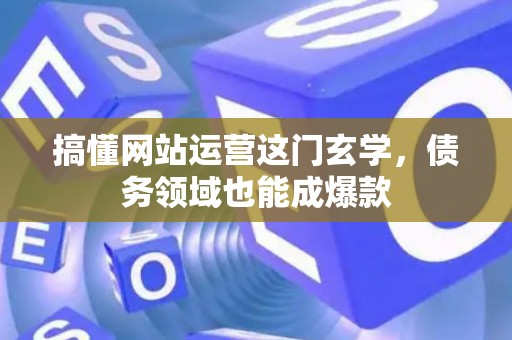 搞懂网站运营这门玄学，债务领域也能成爆款